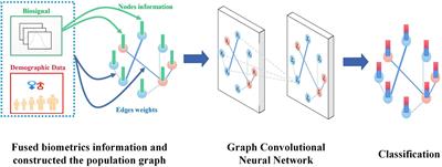 A fused biometrics information graph convolutional neural network for effective classification of patellofemoral pain syndrome